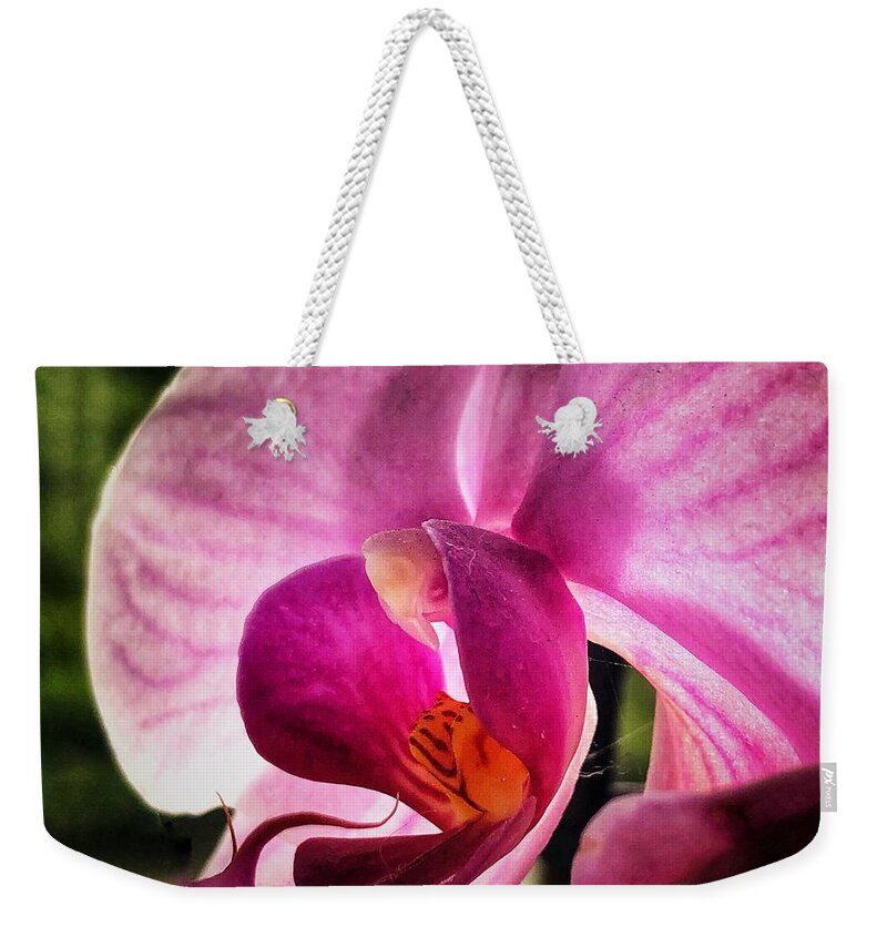 Orchid Weekender Tote Bag featuring the photograph Pink Orchid by Mark Egerton