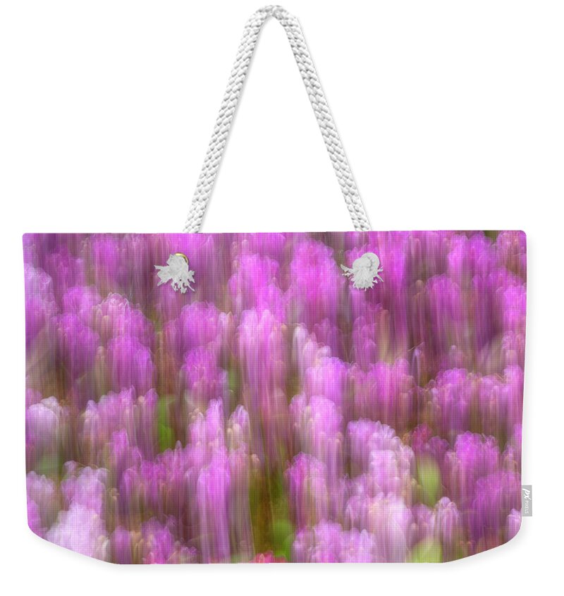 Orchids Weekender Tote Bag featuring the photograph Pink Orchids by Cate Franklyn