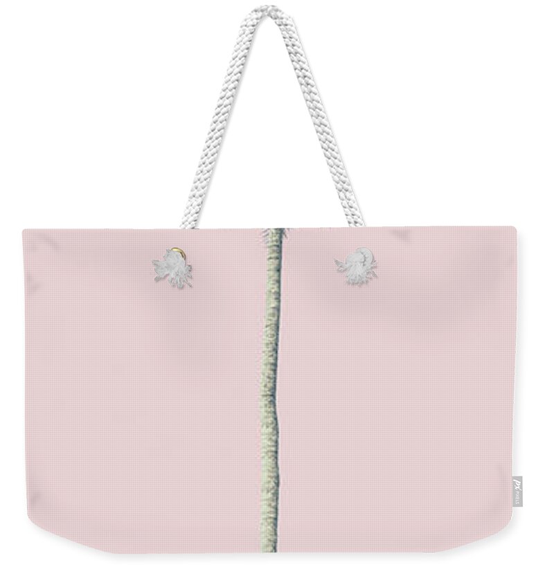 Palm Weekender Tote Bag featuring the photograph Pink Palm by Andrew Paranavitana