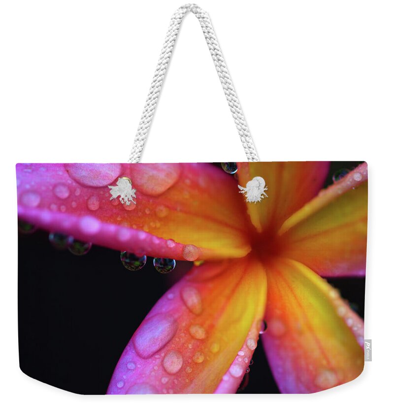 Plumeria Weekender Tote Bag featuring the photograph Pink Plumeria by Christopher Johnson