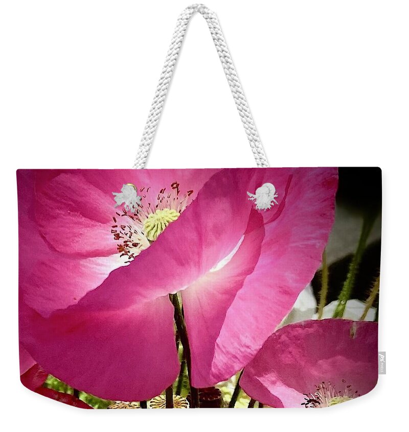 Poppies Weekender Tote Bag featuring the photograph Pink Poppies by Daniele Smith