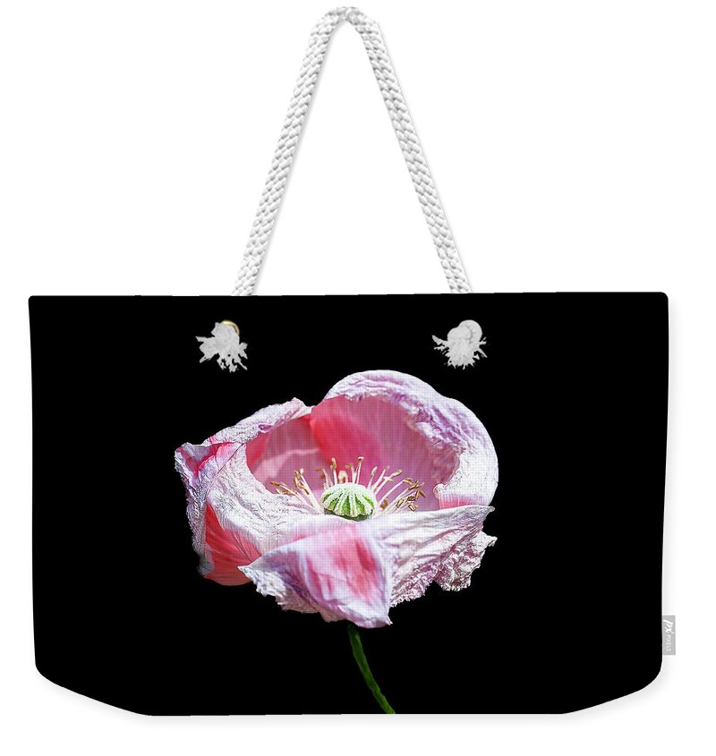 Poppy Weekender Tote Bag featuring the photograph Pink Poppy on Black by Cheri Freeman