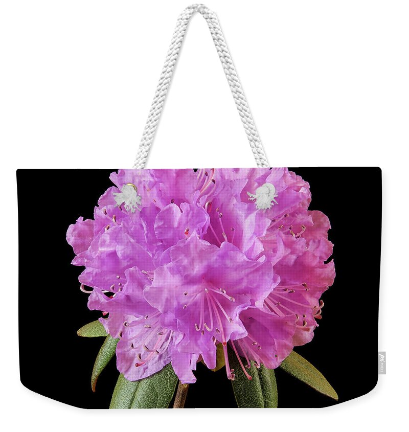 Rhododenron Weekender Tote Bag featuring the photograph Pink Rhododendron by Jim Hughes