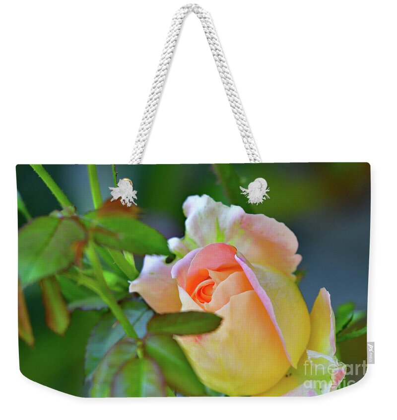 Pink Rose Weekender Tote Bag featuring the photograph Pink Rose by Amazing Action Photo Video