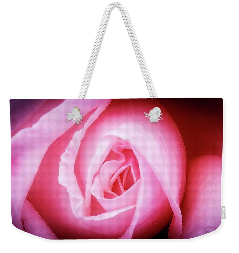 Pink Rose Weekender Tote Bag featuring the photograph Pink Rose by David Morehead