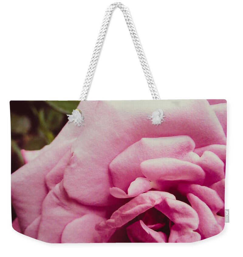 Rose Weekender Tote Bag featuring the photograph Pink Rose by W Craig Photography