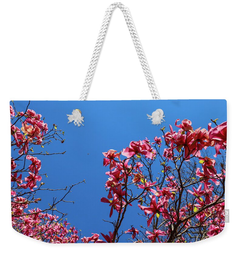 Tree Weekender Tote Bag featuring the photograph Pink Trees at Smith-Gilbert Botanical Gardens by Marcus Jones