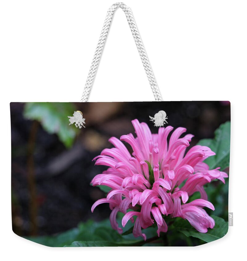 Flower Weekender Tote Bag featuring the photograph Pink Tropical Treasure by Mary Anne Delgado