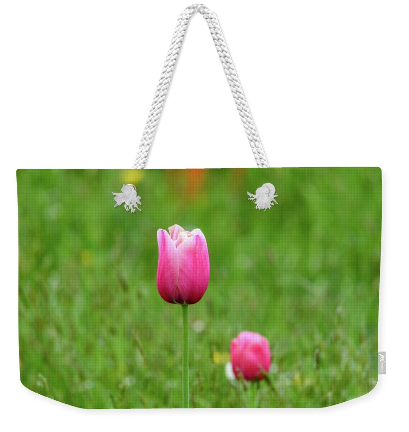 Tulip Weekender Tote Bag featuring the photograph Pink Tulip by Andrew Lalchan