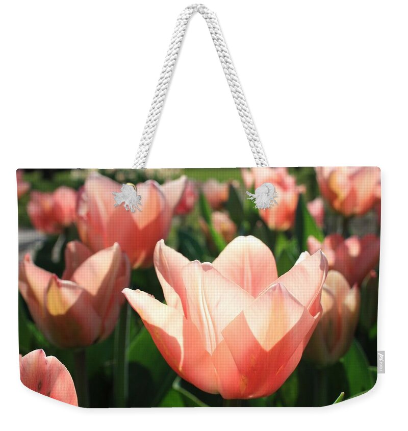 Flower Weekender Tote Bag featuring the photograph Pink Tulips by Gerry Bates