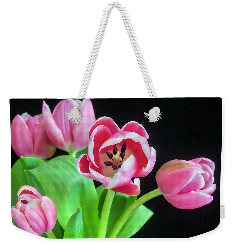 Tulips Weekender Tote Bag featuring the photograph Pink Tulips Pink Impression X105 by Rich Franco