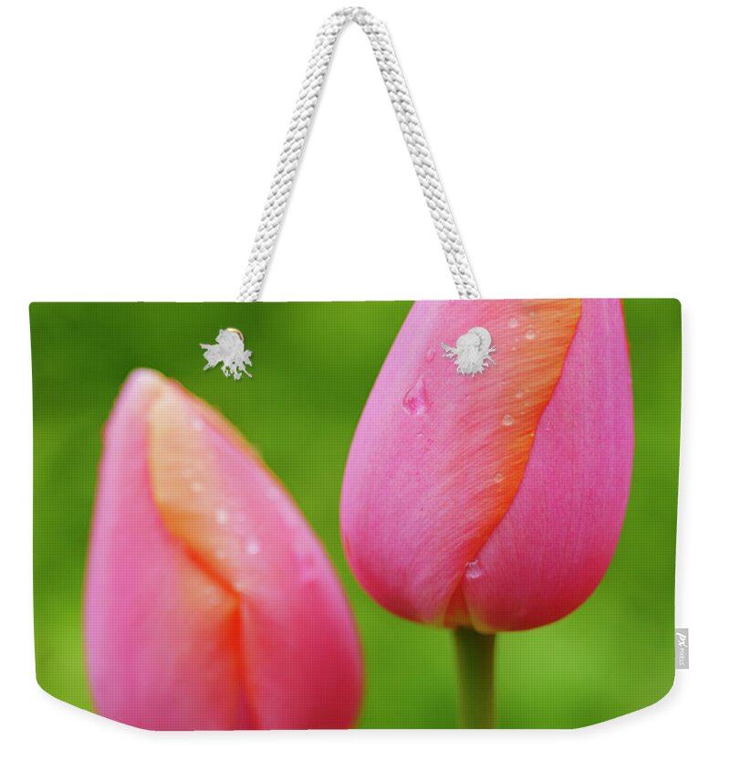 Backyard Weekender Tote Bag featuring the photograph Pink Tulips Vertical by Todd Bannor