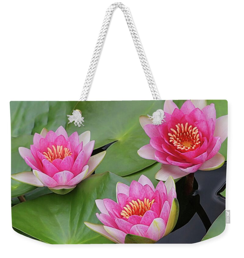 Water Lilies Weekender Tote Bag featuring the photograph Pink Water Lilies by Sylvia Goldkranz