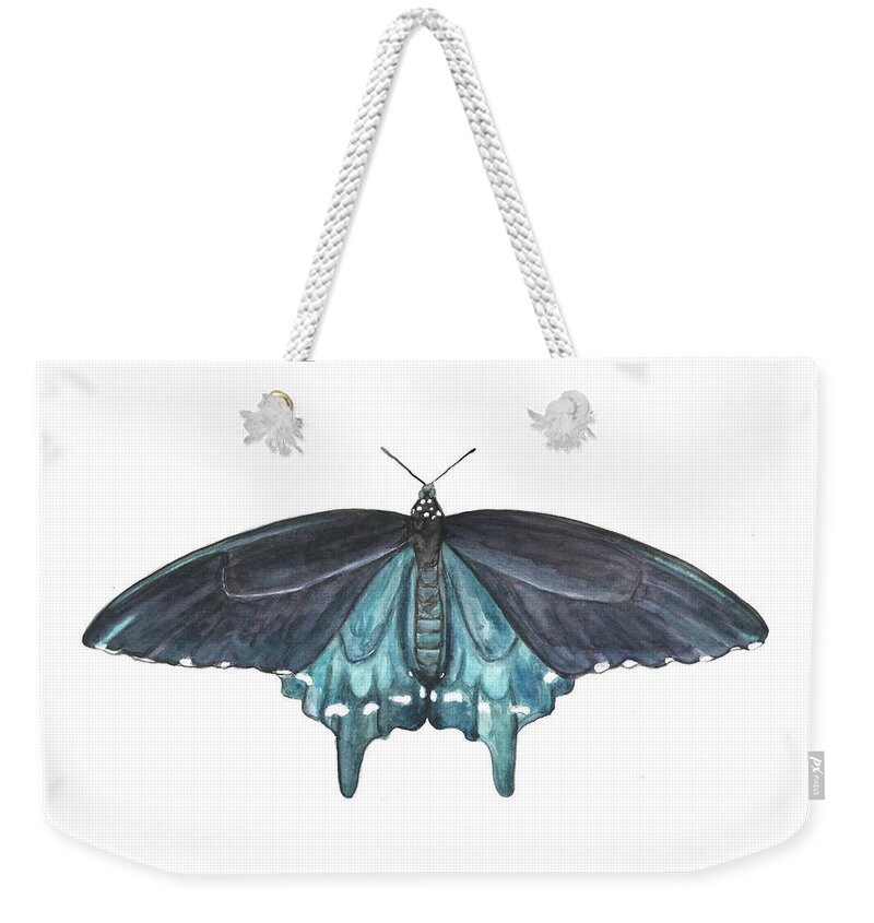 Butterfly Butterflies Florida American Pipevine Swallowtail Blue Navy Transformation Watercolor Weekender Tote Bag featuring the painting Pipevine Swallowtail Butterfly by Pamela Schwartz