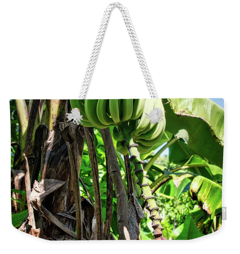 Plantain Weekender Tote Bag featuring the photograph Plantains by Portia Olaughlin