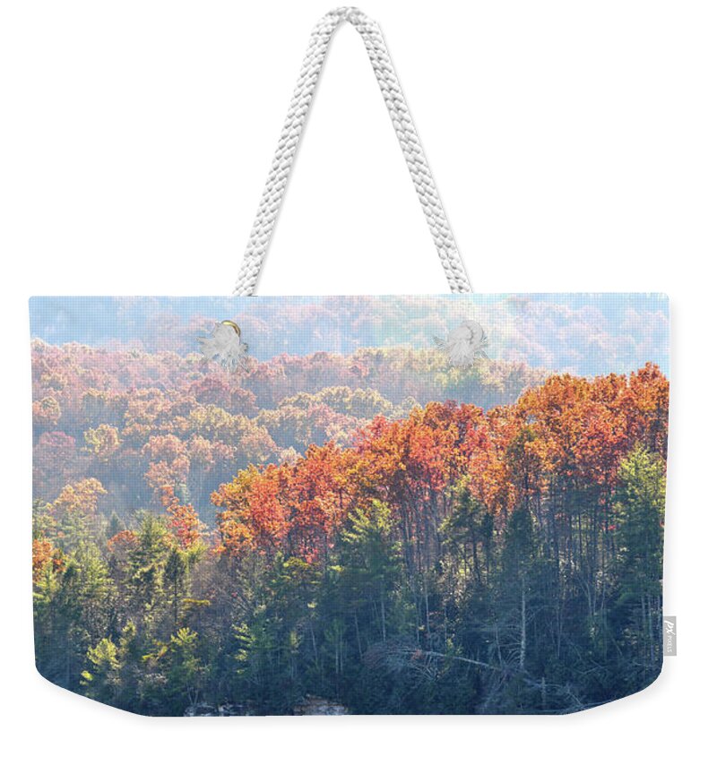 Nature Weekender Tote Bag featuring the photograph Point Trail At Obed 5 by Phil Perkins