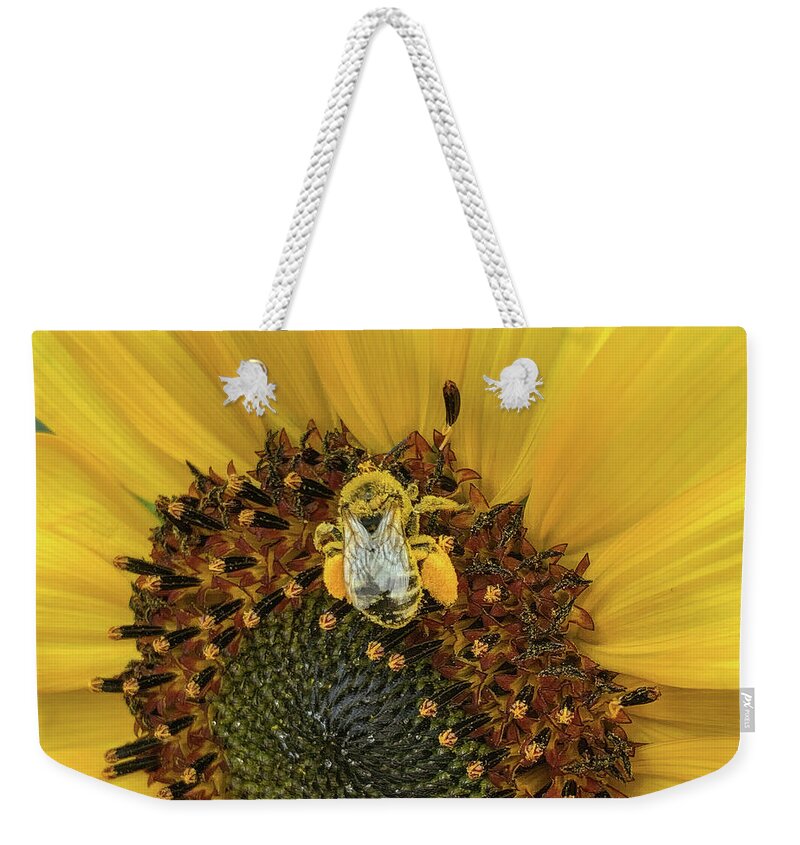 Bee Weekender Tote Bag featuring the photograph Pollinator by Rebecca Herranen