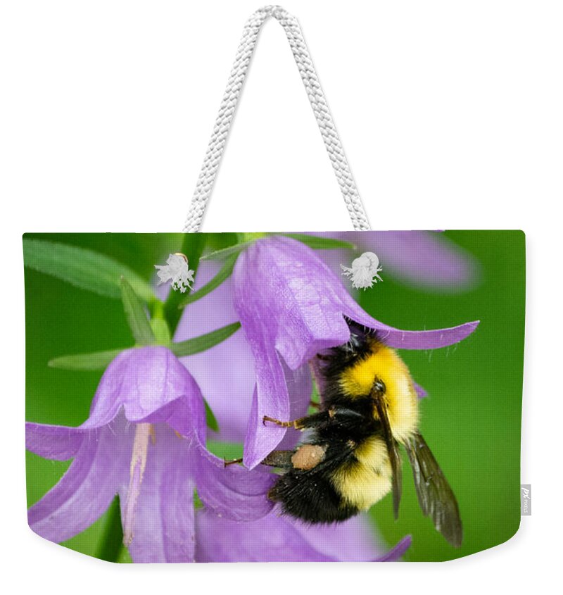 Bumble Bee Weekender Tote Bag featuring the photograph Pollinator's Purple Passion by Linda Bonaccorsi