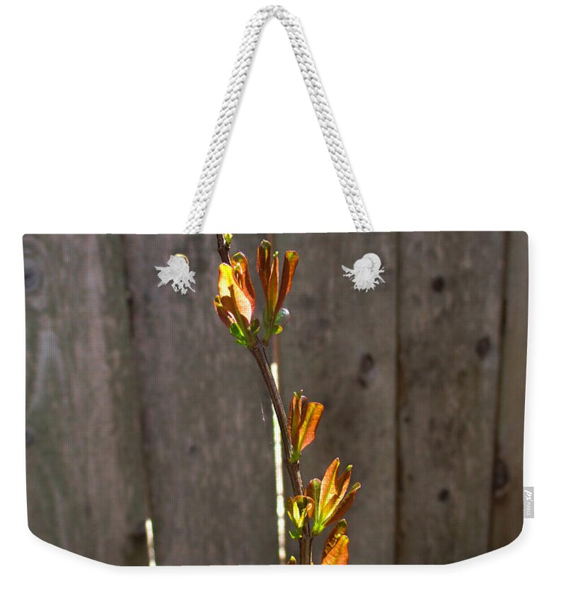 Pomegranate Weekender Tote Bag featuring the photograph Pomegranate Budding by W Craig Photography