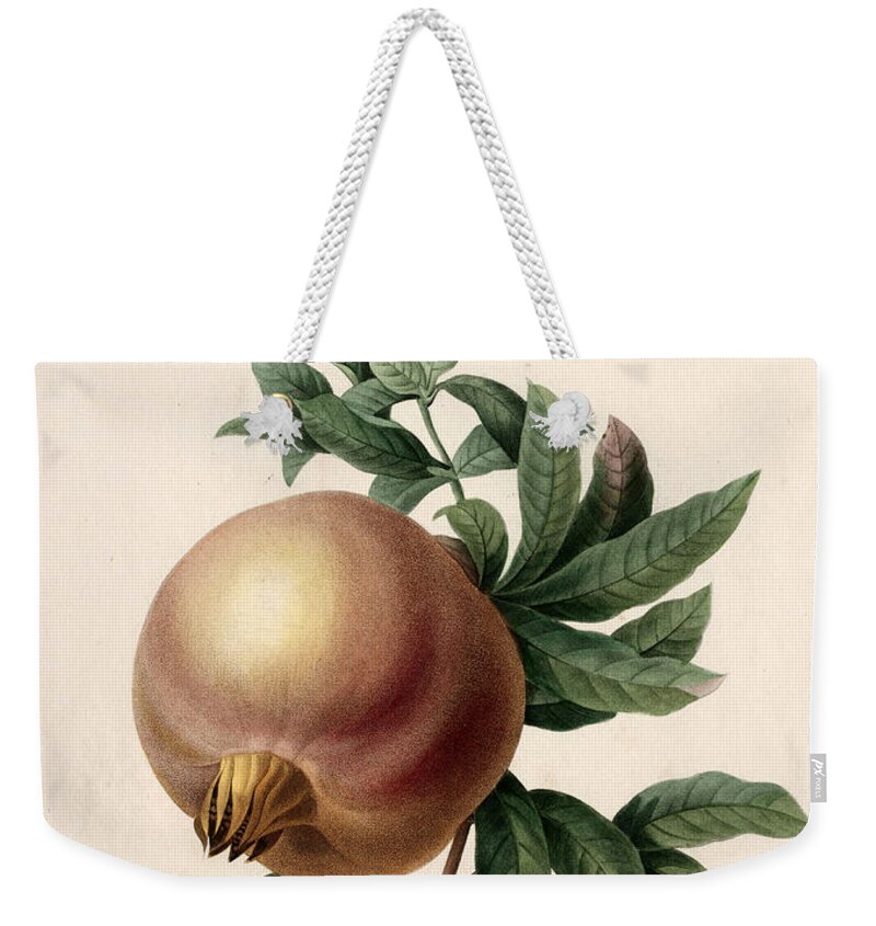 Henri-joseph Redoute Weekender Tote Bag featuring the drawing Pomegranate by Henri-Joseph Redoute