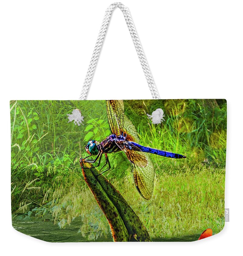 Digital Weekender Tote Bag featuring the digital art Pond Dragon Fly by Anthony Ellis