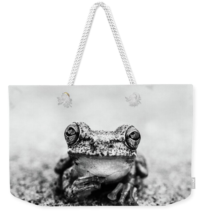 Animal Weekender Tote Bag featuring the photograph Pondering Frog Bw by Laura Fasulo