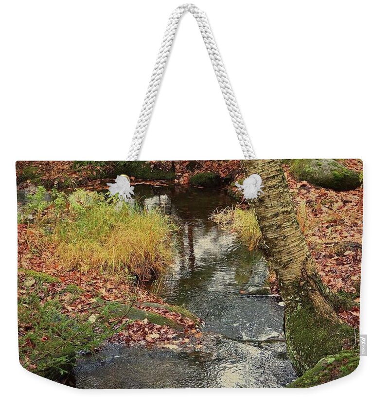 Autumn Weekender Tote Bag featuring the photograph Pool Downstream by Alida M Haslett