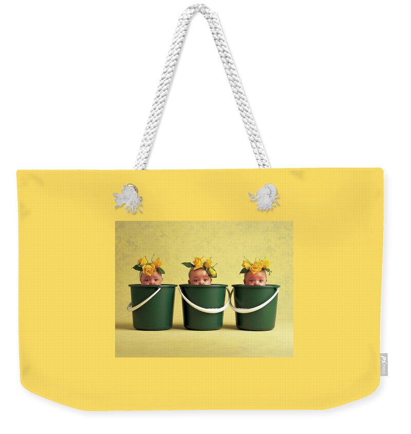 Pool Party Weekender Tote Bag featuring the photograph Pool Party by Anne Geddes