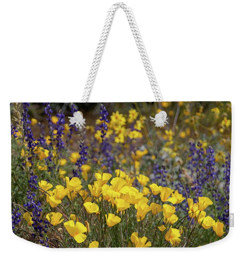 Blooming Weekender Tote Bag featuring the photograph Poppies and Lupine in the Arizona Desert 5 by Teresa Wilson