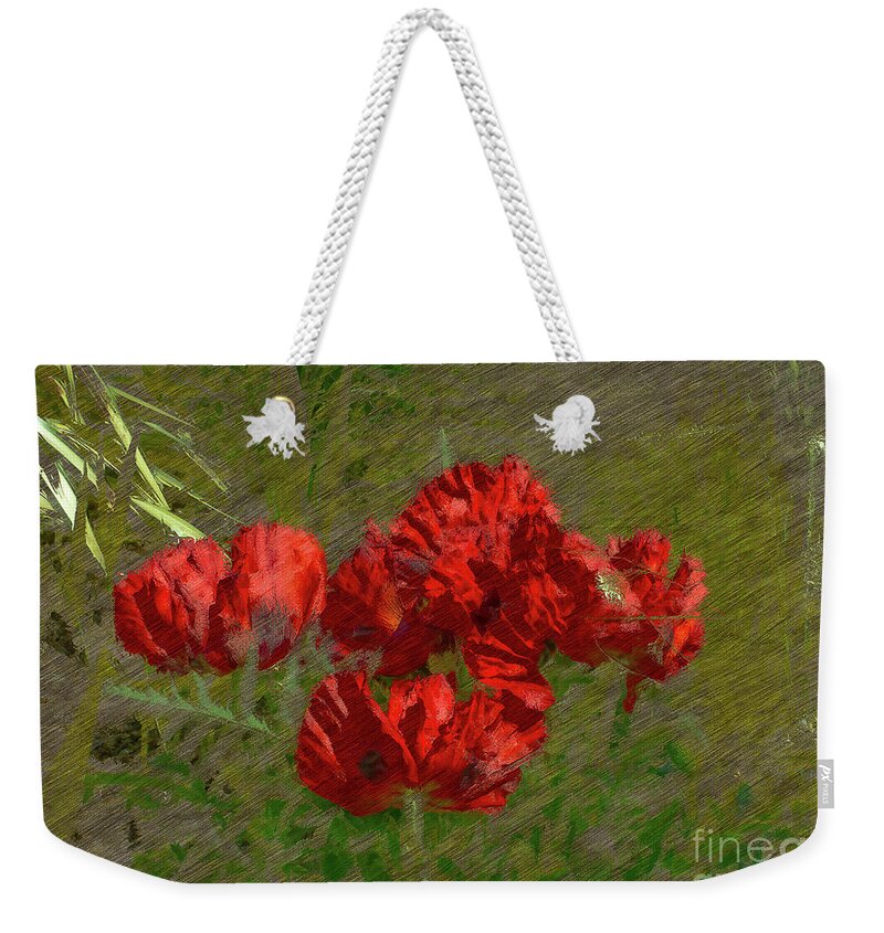 Poppies Weekender Tote Bag featuring the photograph Poppies in Middleton Gardens-Watercolour by Pics By Tony