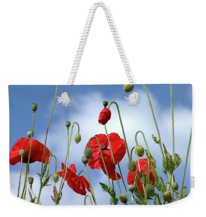 Poppies Weekender Tote Bag featuring the photograph Poppy Art by Baggieoldboy