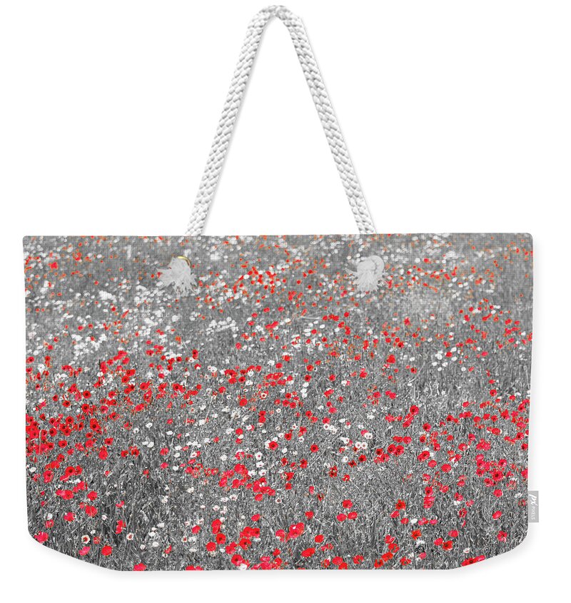 Poppies Weekender Tote Bag featuring the photograph Poppy Field by Stuart Allen