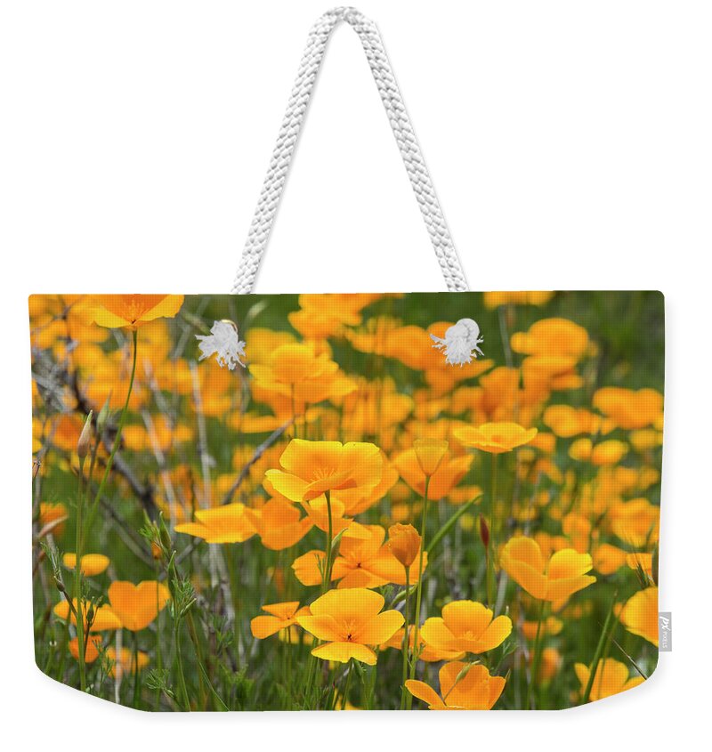 Wildflowers Weekender Tote Bag featuring the photograph Poppy Fields Forever by Steph Gabler
