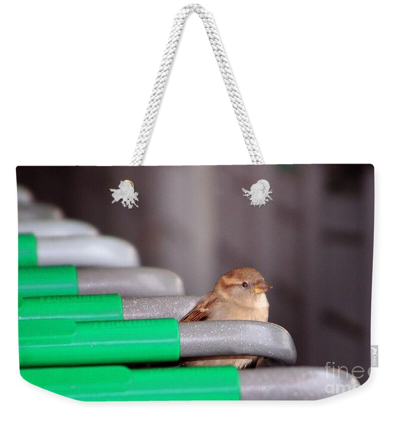 Birds Weekender Tote Bag featuring the photograph Popup Shopper by Kimberly Furey