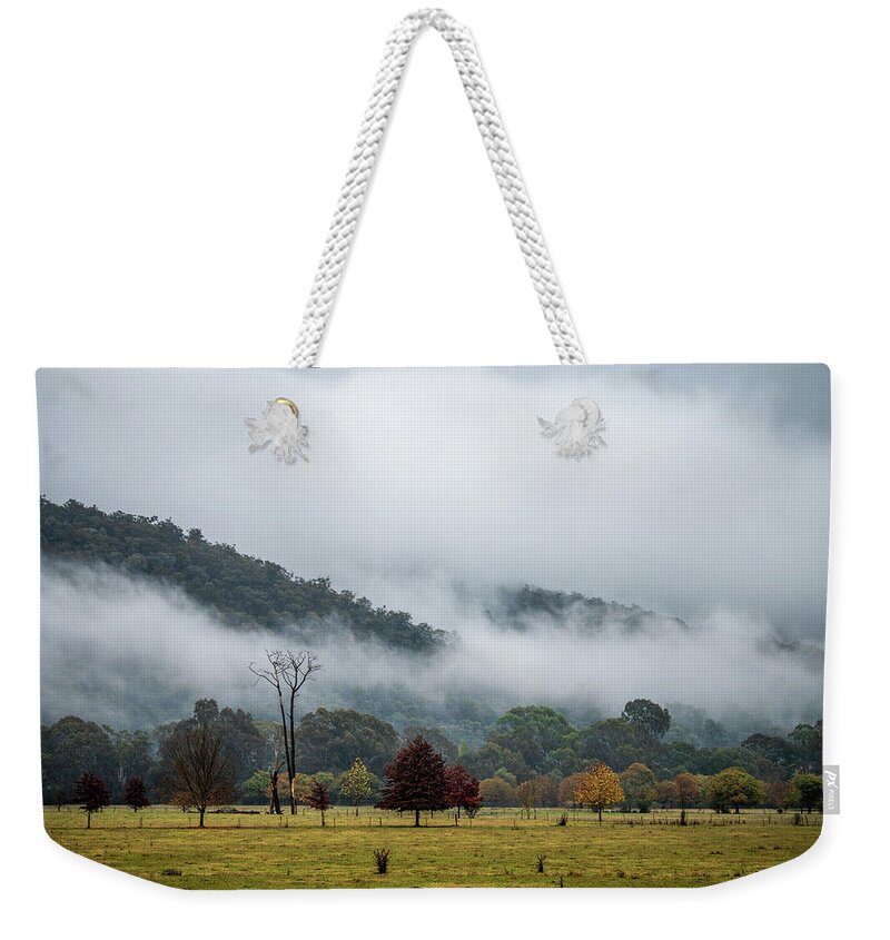 Fog Weekender Tote Bag featuring the photograph Porpunkah Fog by Vicki Walsh