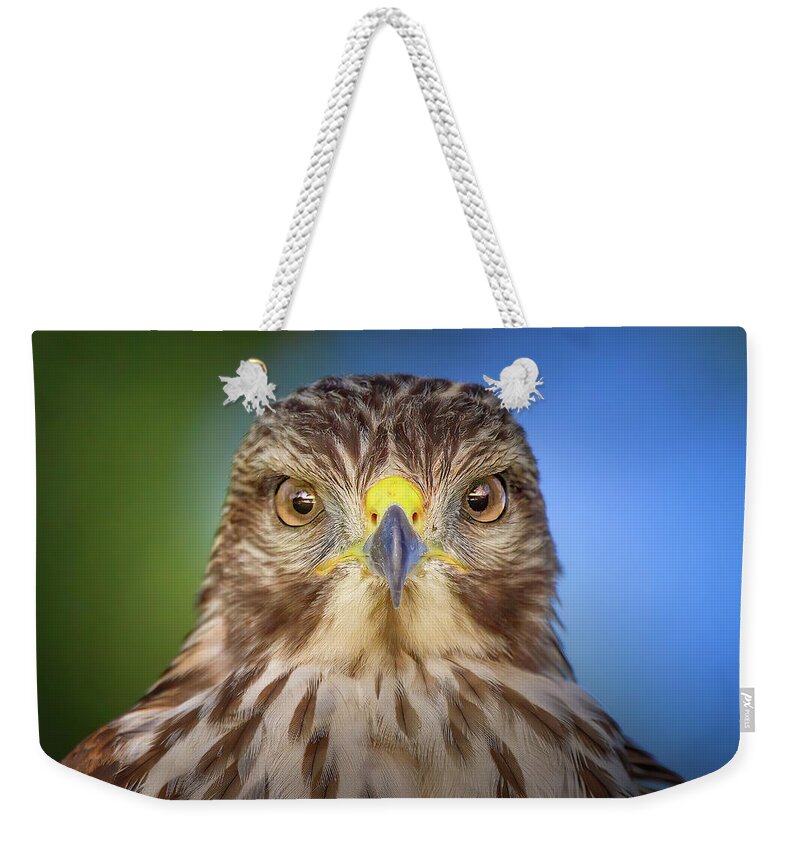 Red Shouldered Hawk Weekender Tote Bag featuring the photograph Portrait of a Raptor by Mark Andrew Thomas