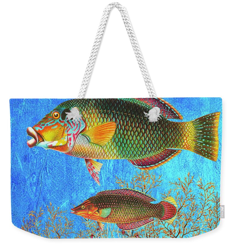 Tropical Fish Weekender Tote Bag featuring the mixed media Portrait of Three Fish by Lorena Cassady