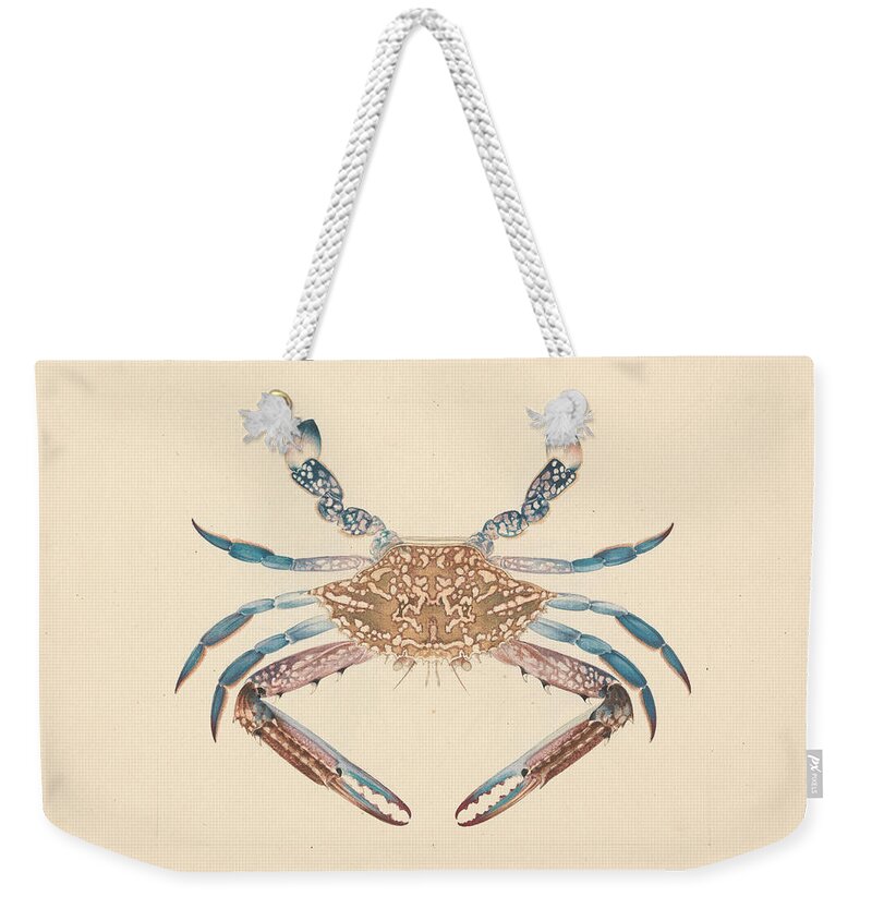 18th Century Weekender Tote Bag featuring the drawing Portunua Pelagicus - Blue Crab by Luigi Balugani
