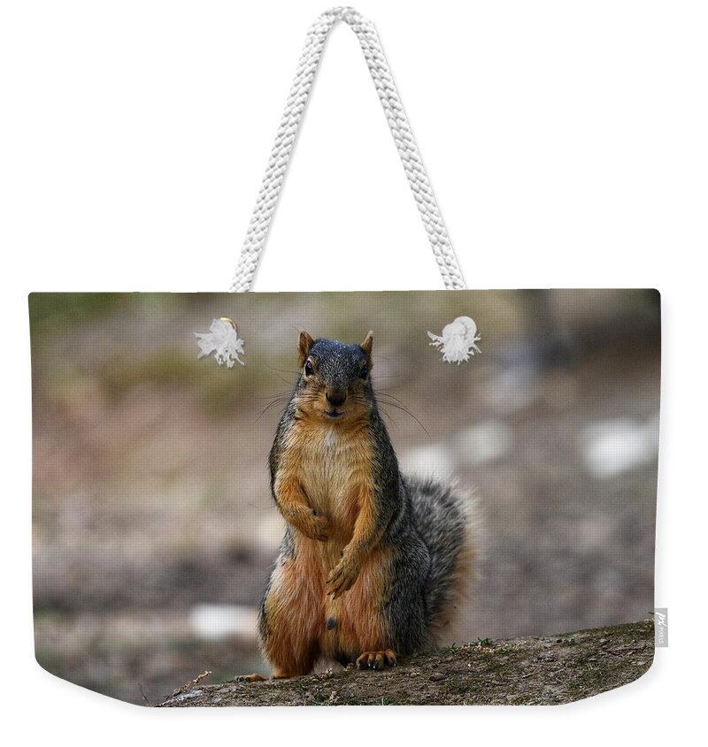 Photography Weekender Tote Bag featuring the photograph You talkin' to me? by Evan Foster
