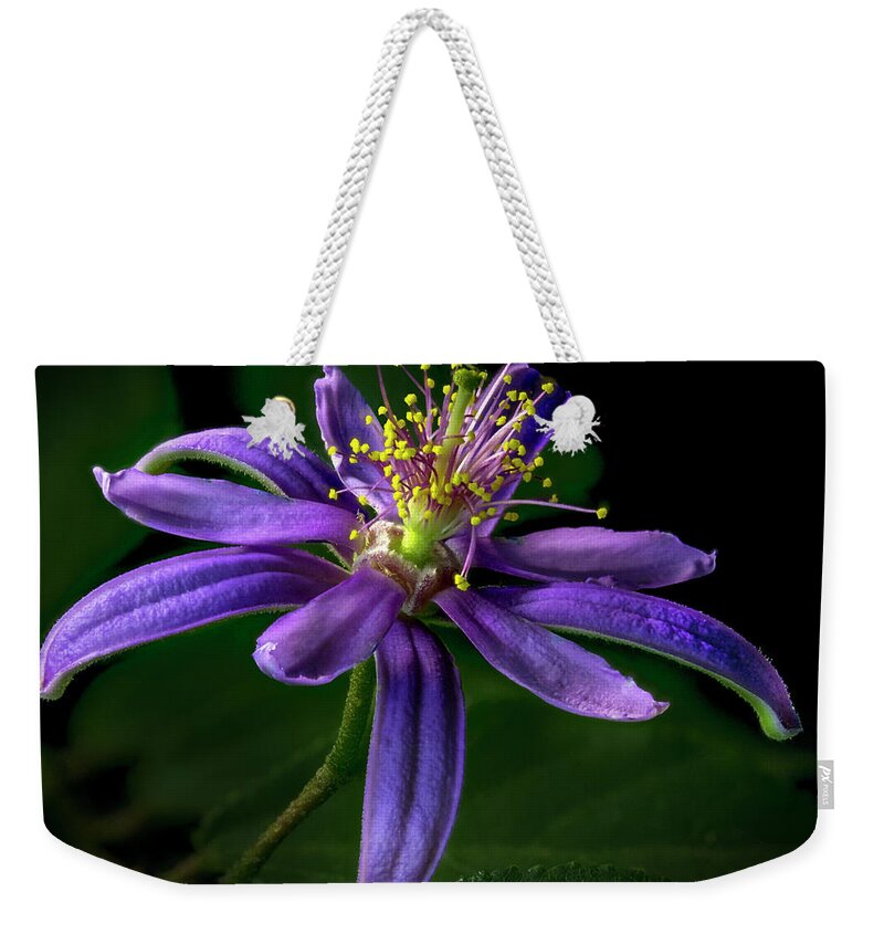 Potato Plant Flower Weekender Tote Bag featuring the photograph Pineywoods Geranium 3 by Endre Balogh