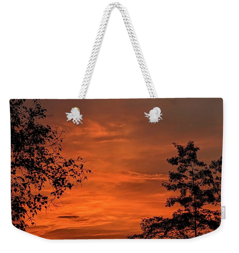  Weekender Tote Bag featuring the photograph Pre-Dawn in the Neighborhood by Brad Nellis