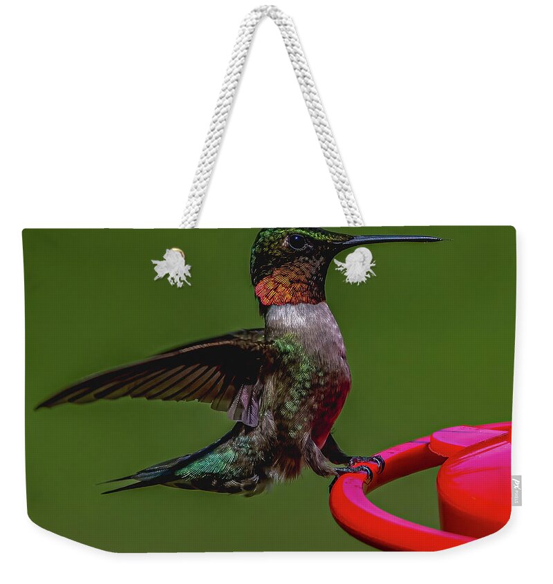 Animal Weekender Tote Bag featuring the photograph Preparing for Dinner by Brian Shoemaker