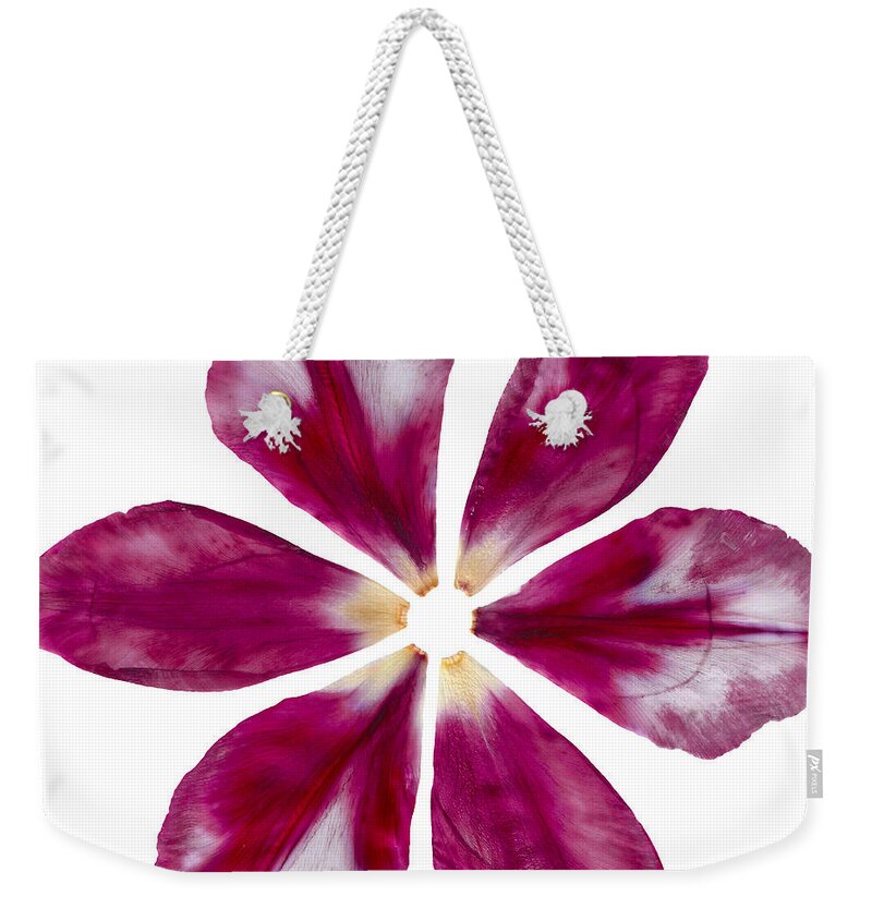 Pink Weekender Tote Bag featuring the photograph Pressed Pink Tulip Petals by Michelle Bien