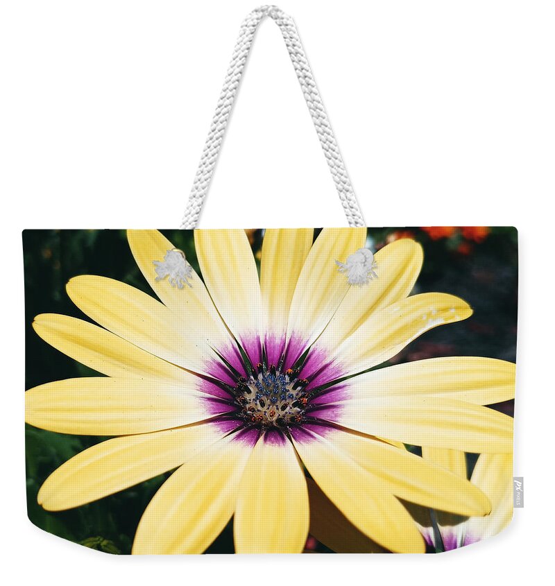 Flower Weekender Tote Bag featuring the photograph Pretty Eyed Flower by Dani McEvoy