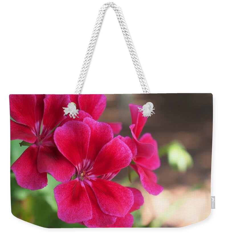 Red Weekender Tote Bag featuring the photograph Pretty Flower 5 by C Winslow Shafer