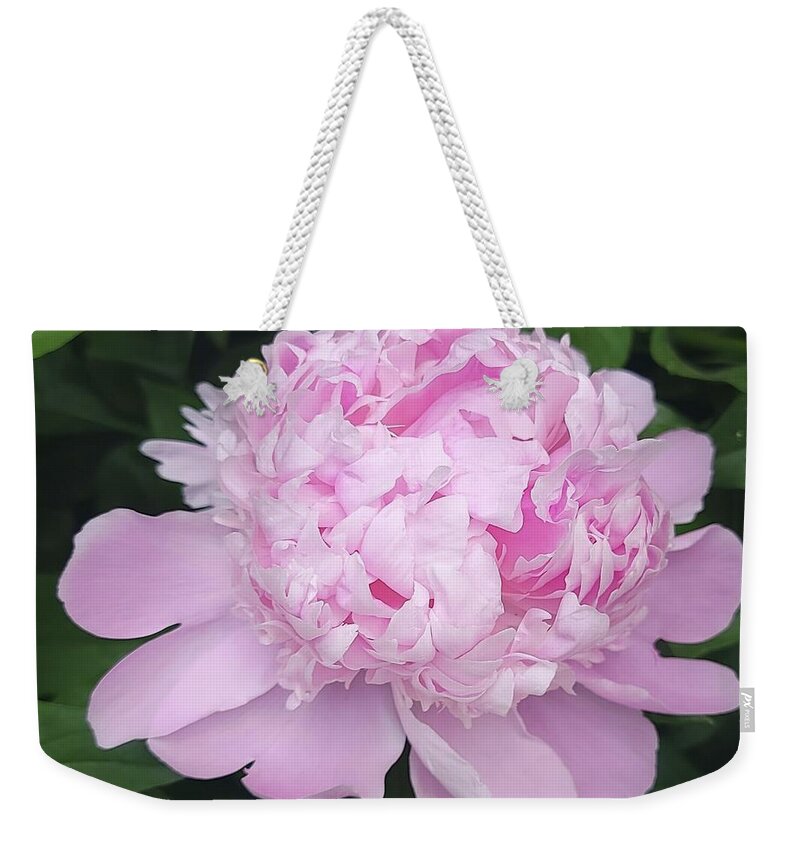 Art Weekender Tote Bag featuring the photograph Ruffled Petals by Jeannie Rhode