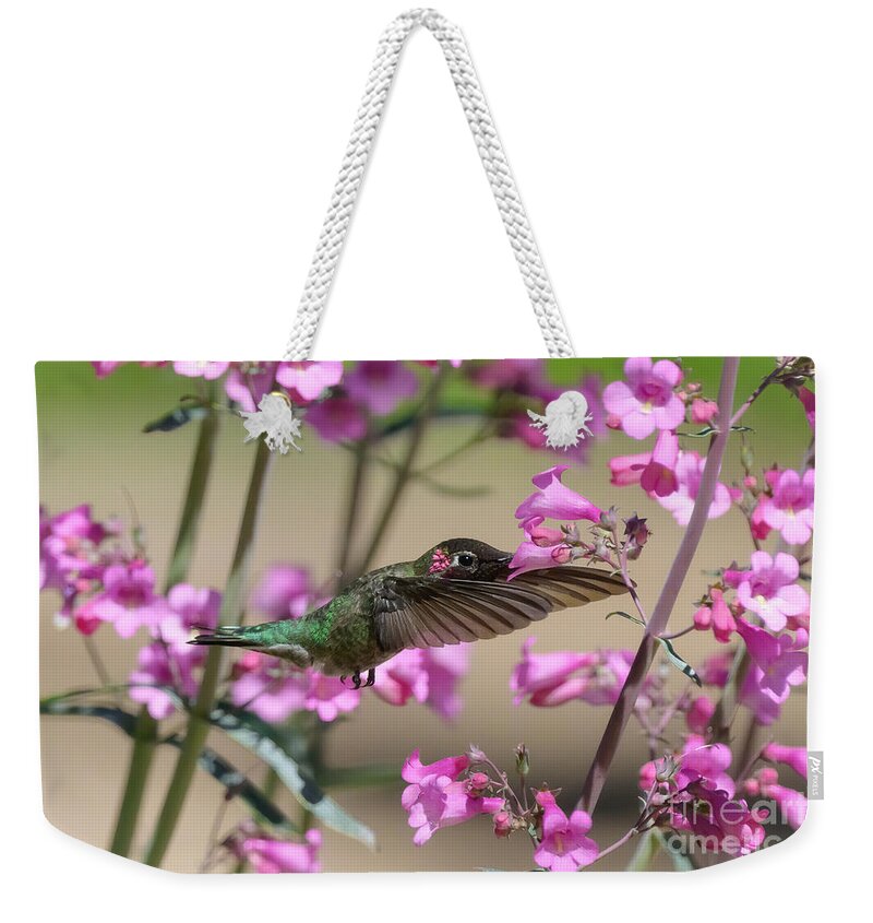Hummingbird Weekender Tote Bag featuring the photograph Pretty in Pink by Lisa Manifold