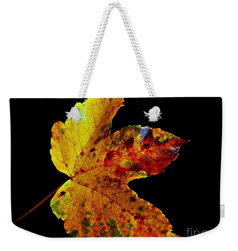 Fall Weekender Tote Bag featuring the photograph Pretty Leave On Black by Claudia Zahnd-Prezioso