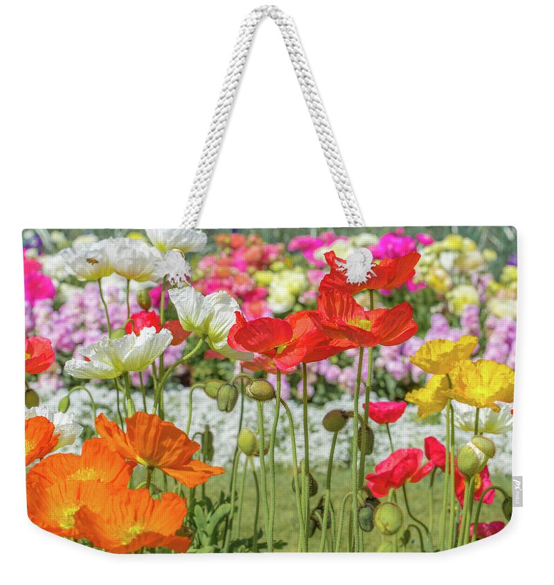 Multi-colored Poppy Flowers Weekender Tote Bag featuring the photograph Pretty Poppies by Az Jackson