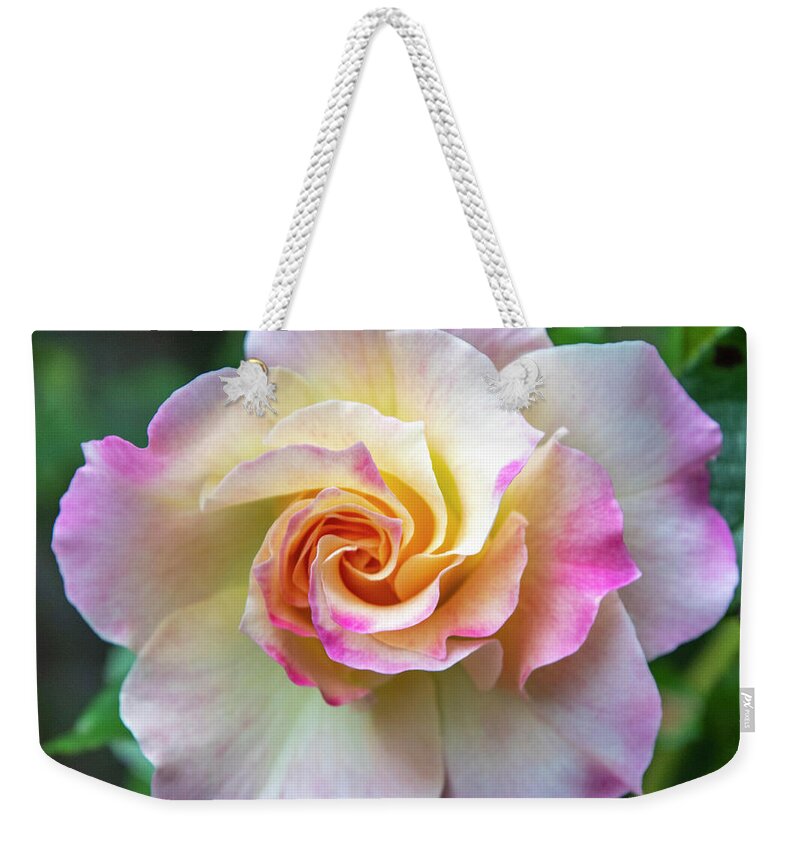 Flower Weekender Tote Bag featuring the photograph Pretty Rose by Cathy Kovarik